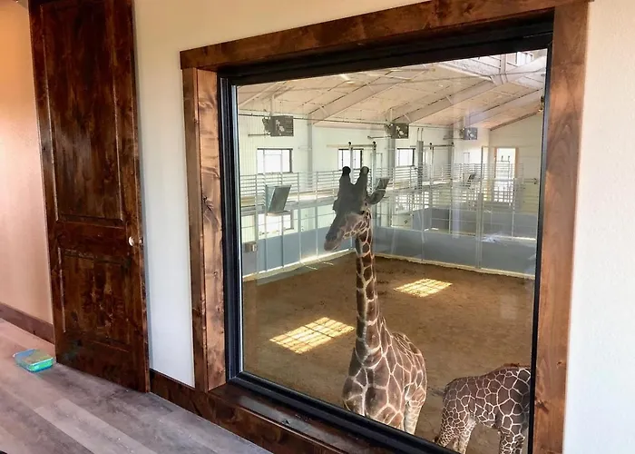Longneck Manor